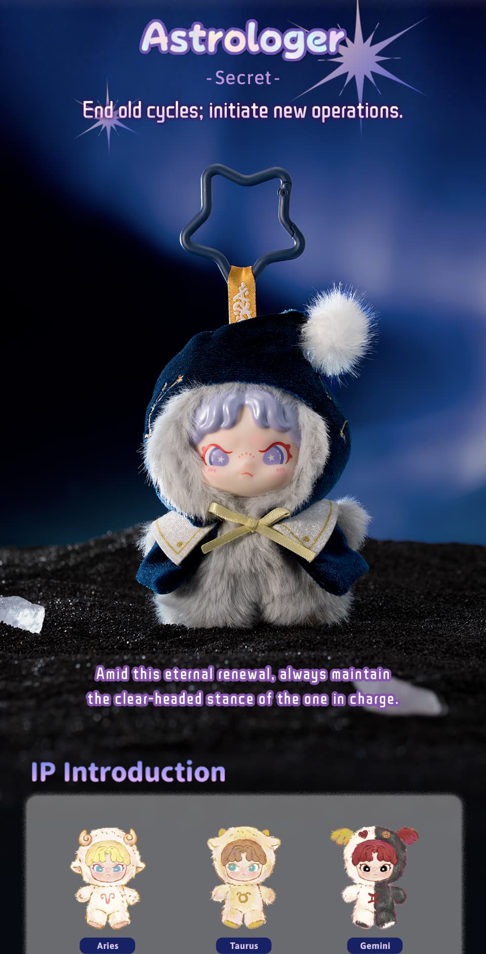 Product detail 6