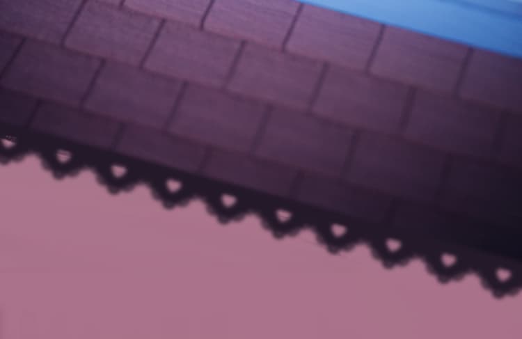 Product detail 16