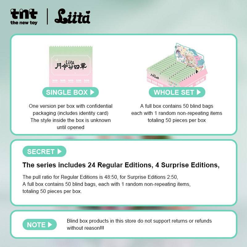 Liita The 24 Solar Terms mili series